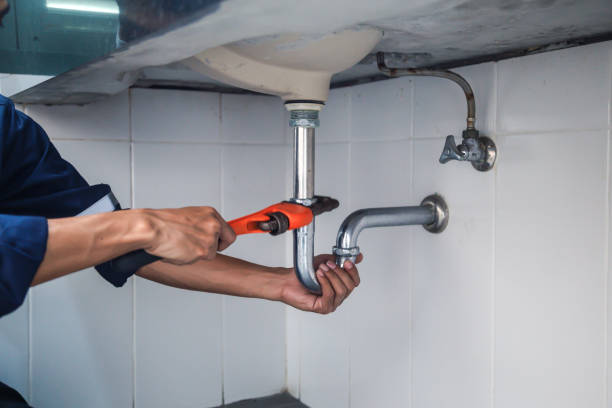 Best Plumbing Inspection Services  in Wadsworth, IL