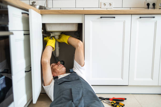 Best Septic Systems  in Wadsworth, IL