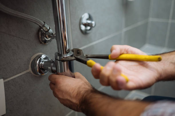 Best Same-Day Plumbing Service  in Wadsworth, IL